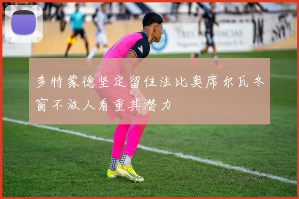 多特蒙德坚定留住法比奥席尔瓦冬窗不放人看重其潜力