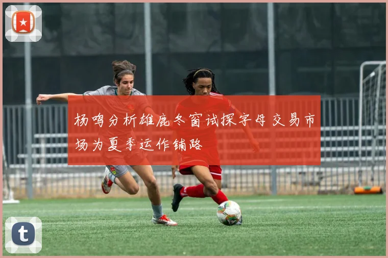 杨鸣分析雄鹿冬窗试探字母交易市场为夏季运作铺路