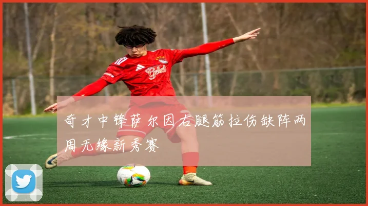 奇才中锋萨尔因右腿筋拉伤缺阵两周无缘新秀赛