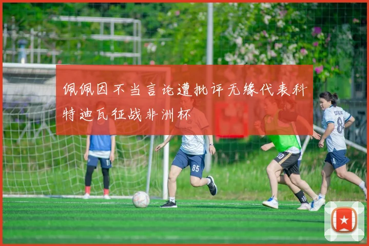 佩佩因不当言论遭批评无缘代表科特迪瓦征战非洲杯